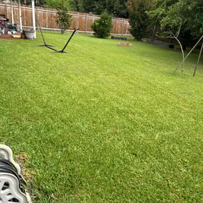 grass maintenance by ALLN1 reviewed on August 17, 2025
