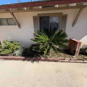 Flower Bed Weeding by Robert Norton’s Lawn Care reviewed on February 15, 2026