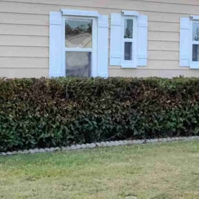 lawn service by Advanced Agricultural Solutions reviewed on July 12, 2025