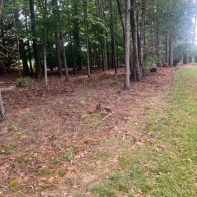 Leaf Removal by Sample Logistics Lawn Service  reviewed on September 11, 2025