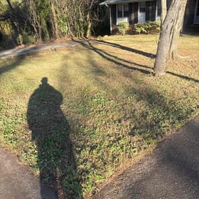 Leaf Removal by Veteran Roots reviewed on December 26, 2025