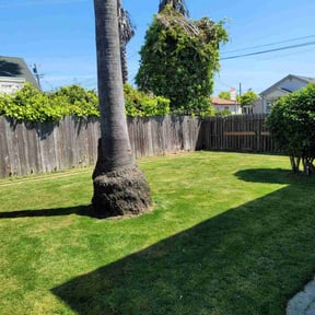 landscape maintenance by Christian Brothers Maintenance reviewed on June 19, 2025