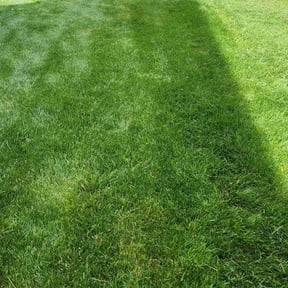landscaping services by E.B. Lawncare LLC reviewed on August 15, 2025