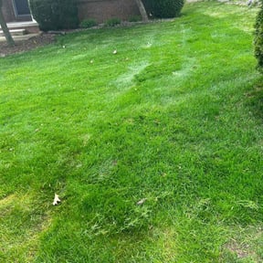 landscaping services by Dunn's Lawn Services reviewed on August 21, 2025