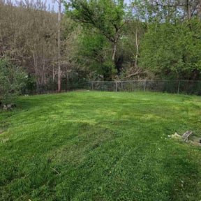 grass cutting by Torres Lawn Care reviewed on May 24, 2024