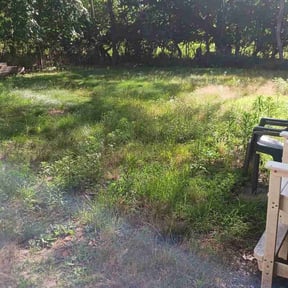 Bush Trimming by Luke's lawn care reviewed on August 15, 2025