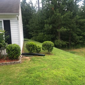 Bush Trimming by Lot Legends LLC reviewed on August 19, 2025