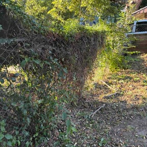 Flower Bed Weeding by Demery Outdoor Services reviewed on September 11, 2026