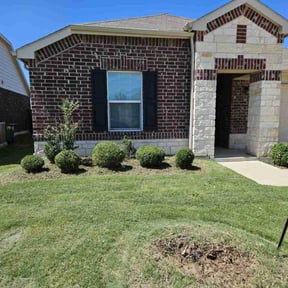 Bush Trimming by Loza Lawn & Home Services reviewed on August 18, 2025