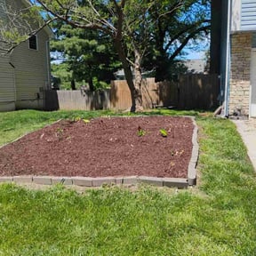 Mulching by Americangreen reviewed on August 21, 2025