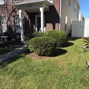 Bush Trimming by G&#039;z cuttz and landscaping reviewed on October 18, 2025