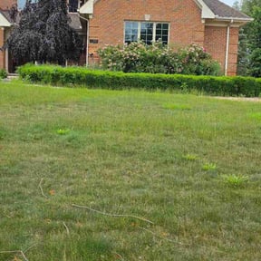 Bush Trimming by 387 Lawn Care reviewed on June 23, 2026