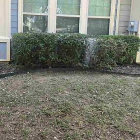 Bush Trimming by ShiftChange LLC Lawn Service reviewed on October 22, 2025