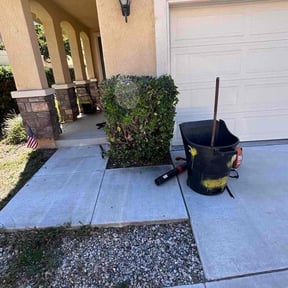 Bush Trimming by Var Landscape reviewed on November 22, 2025