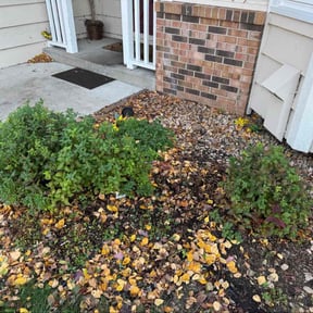 Flower Bed Weeding by cleancut lawns reviewed on November 6, 2025
