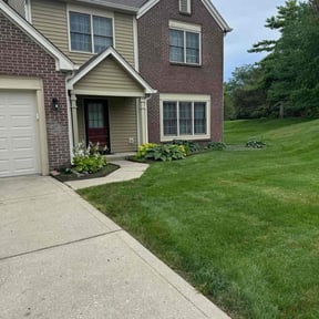 yard work by Southern Hospitality lawn &amp; household care reviewed on November 23, 2025