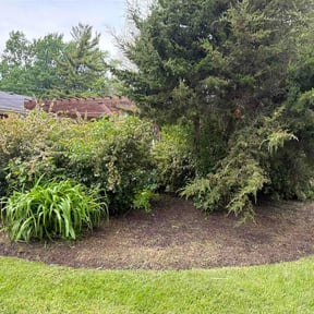 Flower Bed Weeding by Meridian Management Group LLC reviewed on May 20, 2026