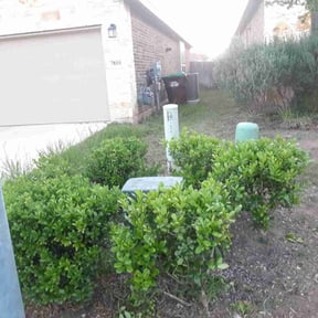 Bush Trimming by B and b lawn and professional services llc reviewed on August 13, 2025