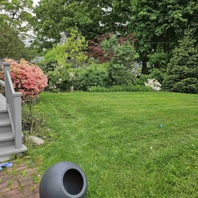 yard maintenance by Hope Lawn Care reviewed on April 20, 2024