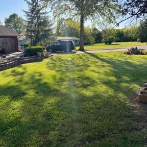 yard work by Trip reviewed on August 17, 2025