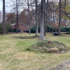 Leaf Removal by Dt’s Lawn and Landscaping LLC reviewed on September 20, 2025