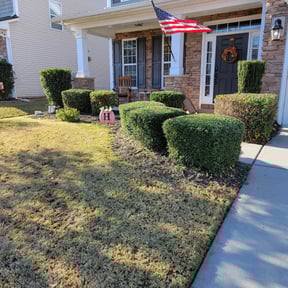 Bush Trimming by Green Leaves Landscaping reviewed on November 22, 2025