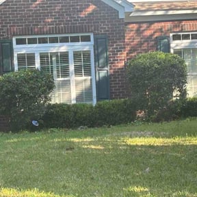 Bush Trimming by Zad's Lawn Worx reviewed on June 11, 2026