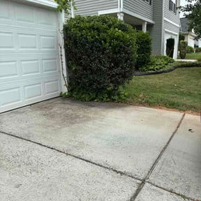 Bush Trimming by As lawn care reviewed on July 2, 2026