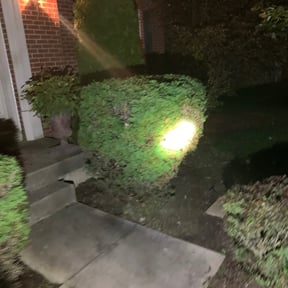 Bush Trimming by Lion's Landscaping reviewed on August 16, 2025