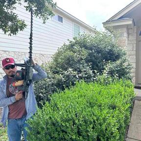 Bush Trimming by Gonzalez Landscaping reviewed on August 21, 2025