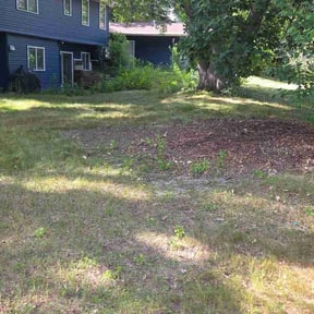Leaf Removal by LP LAWN SERVICES LLC reviewed on July 27, 2026
