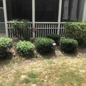 Bush Trimming by LaBriere Competition Services reviewed on August 17, 2025