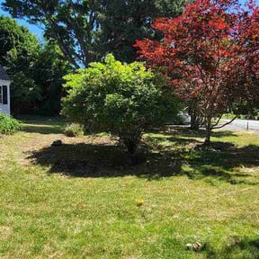 Flower Bed Weeding by On Time Handyman Full Service reviewed on June 22, 2026