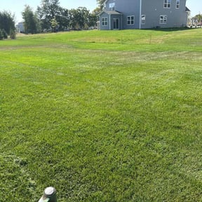 lawn care services by WeMow Indy reviewed on July 26, 2025