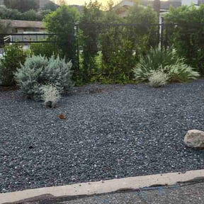 Flower Bed Weeding by Taylor lawn care reviewed on August 27, 2026