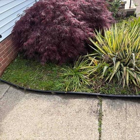 Flower Bed Weeding by Hernandez Landscaping reviewed on May 25, 2026