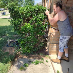 Bush Trimming by Haynes reviewed on August 15, 2025