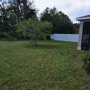 Flower Bed Weeding by Bkreativ reviewed on September 2, 2026