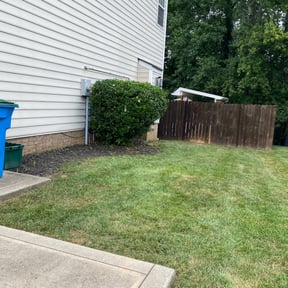Bush Trimming by K & J Removal and Lawn Care reviewed on August 19, 2025