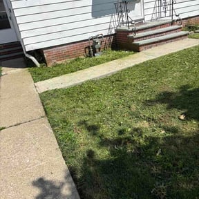 Flower Bed Weeding by Elite Landscaping Solutions LLC reviewed on June 19, 2026