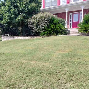 Bush Trimming by Right Lawn Care reviewed on August 17, 2025