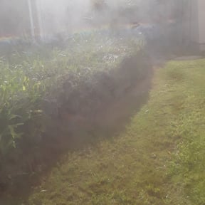 Bush Trimming by Tri Stars landscaping and Snow Services LLC reviewed on November 21, 2025