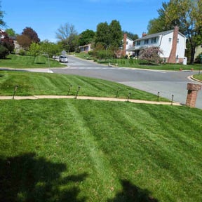 yard service by The wright cut llc reviewed on June 21, 2023