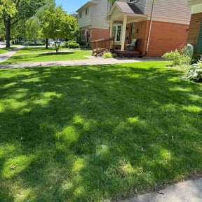 lawn care by M&W Construction reviewed on May 14, 2025