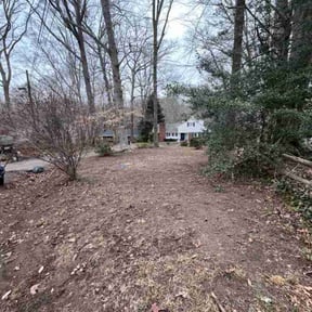 Leaf Removal by  reviewed on January 14, 2026