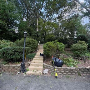 Bush Trimming by We Care Lawn Care reviewed on November 5, 2025