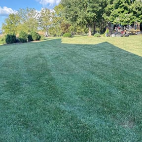 lawn service by YARD M.D. LLC reviewed on June 1, 2025
