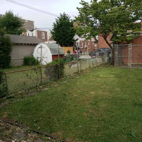 Bush Trimming by A Gaines lawncare & landscaping LLC reviewed on August 17, 2025