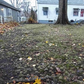 Leaf Removal by Snack pack landscaping reviewed on November 22, 2025