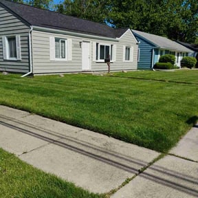 yard service by Suffer Correct Seasonal Care reviewed on August 18, 2025